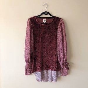 Ivy Jane Burgundy and Pink Velvet Top